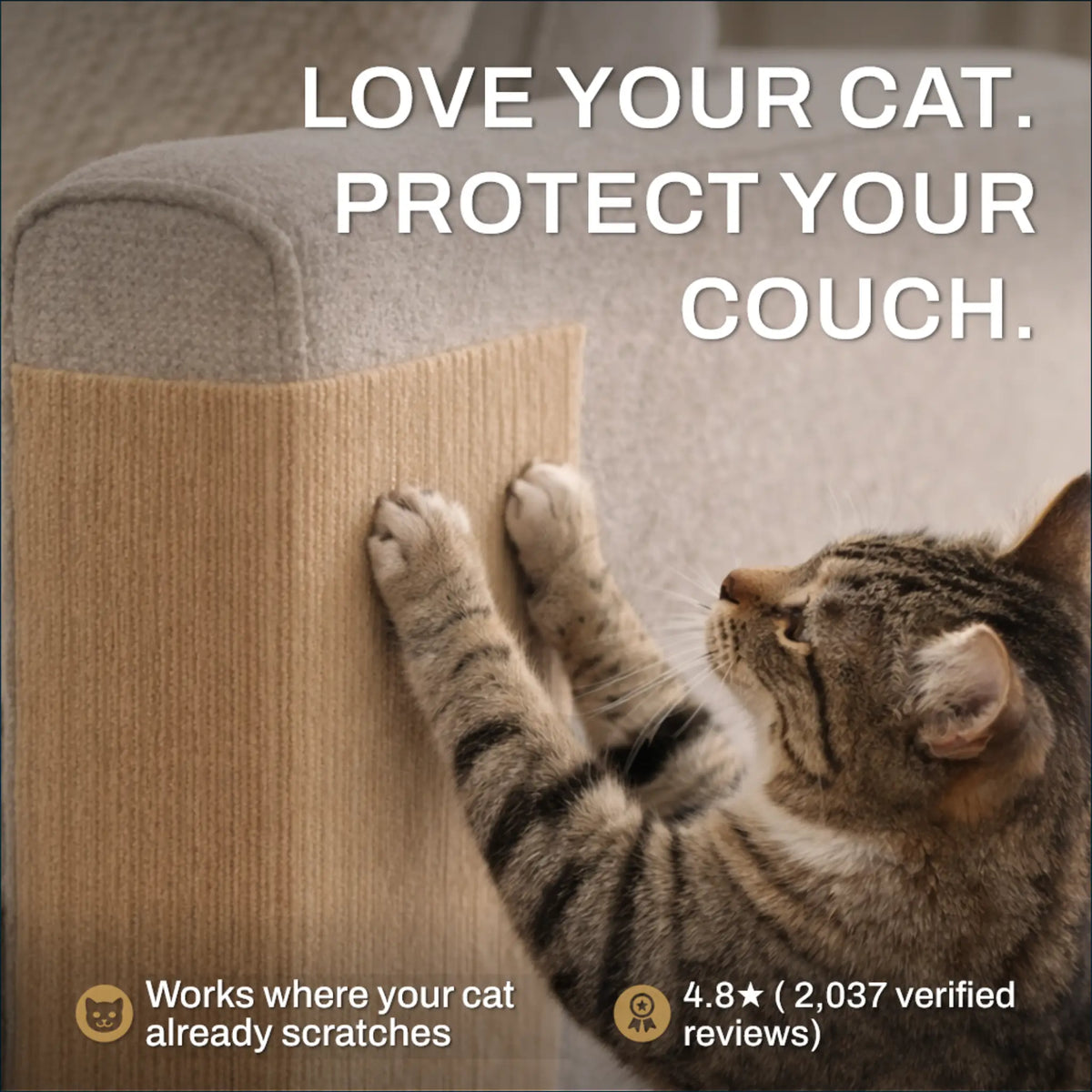 Kitty Shieldz Krabmat