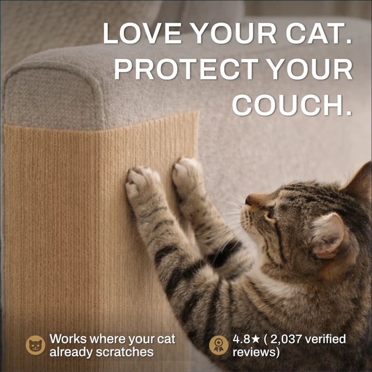 Kitty Shieldz Krabmat