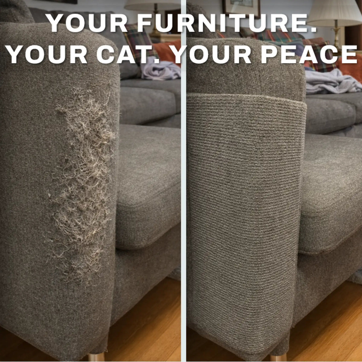 Kitty Shieldz Krabmat