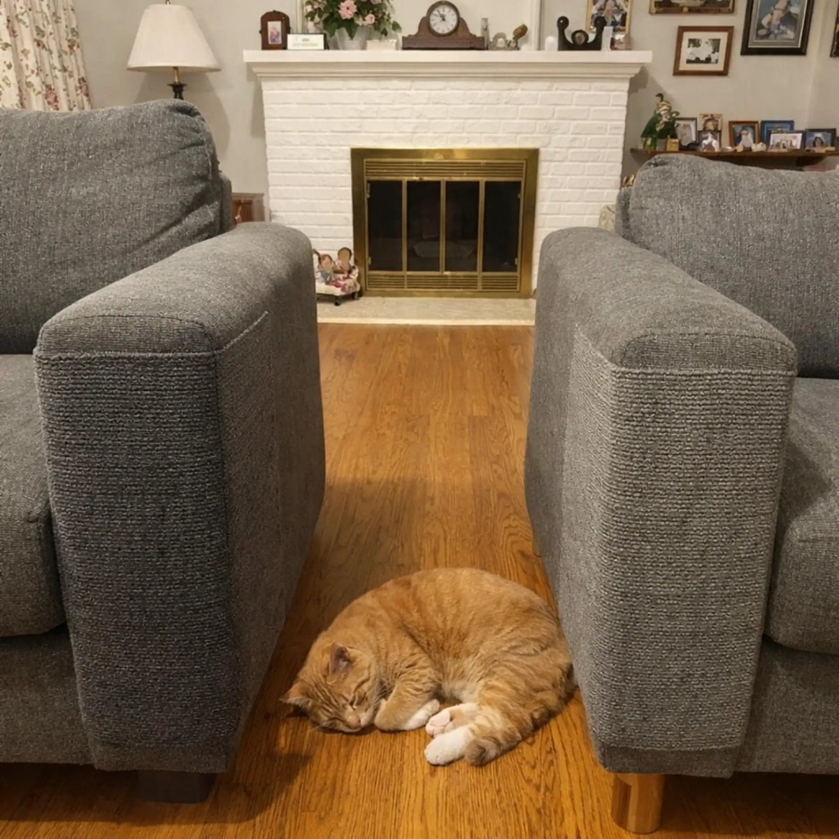 Kitty Shieldz Krabmat
