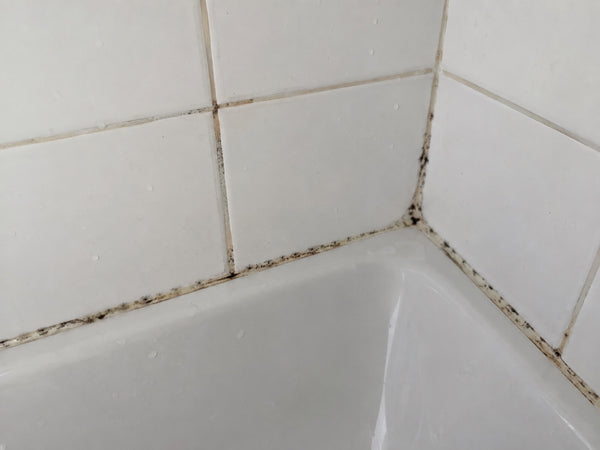 Zwarte schimmel in de voegen van een douche
