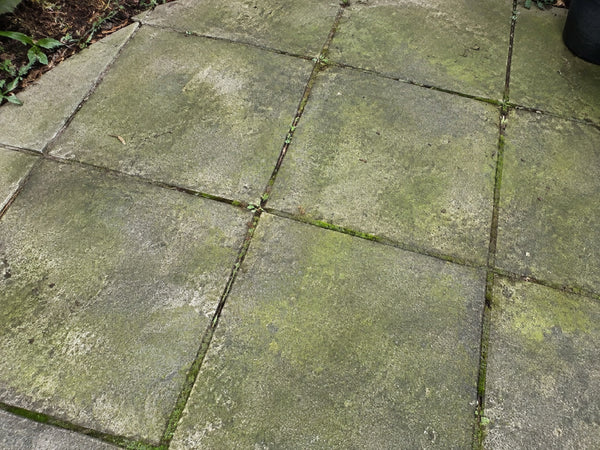 Terrastegels met groene aanslag